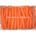 Großhandel chinesischen frischen Karotten Preis